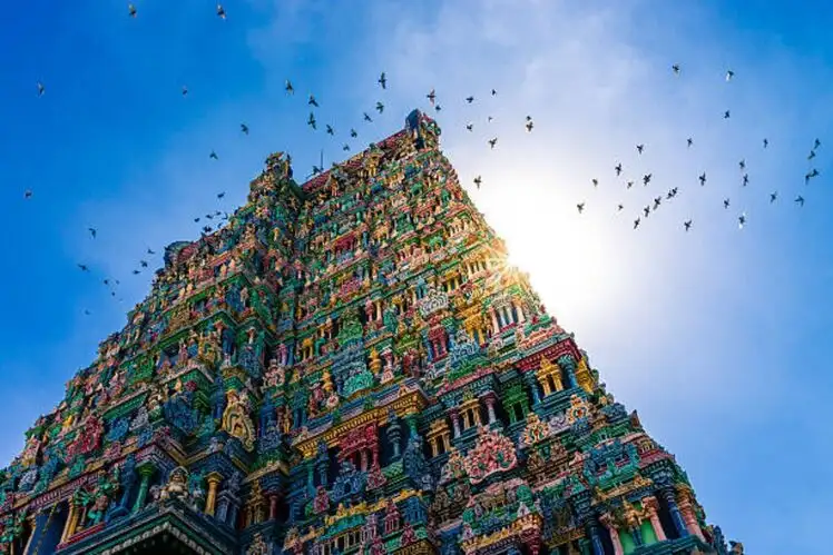 With-love-from-South-India