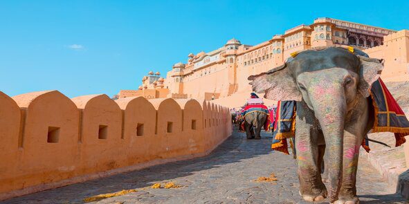 Amer,Fort,Jaipur,-,Tourists,Enjoy,Elephant,Ride,At,Sunrise