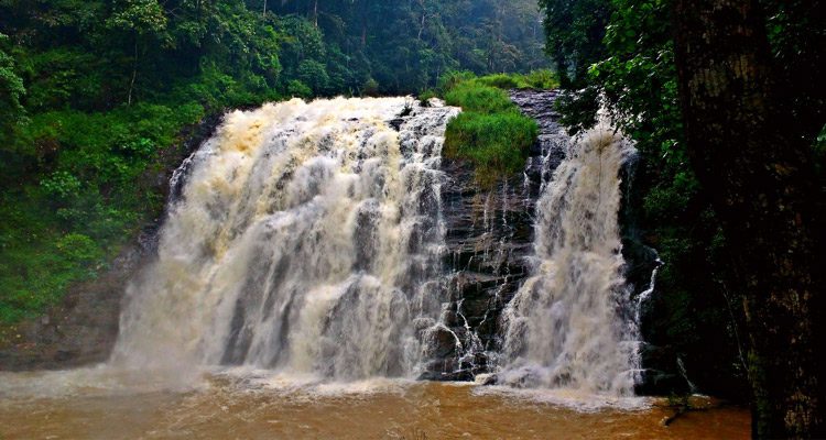 places-to-visit-coorg-tour-local-sightseeing-tour-package-abbey-falls-coorg