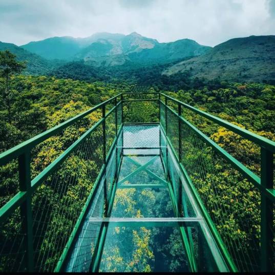 glass-bridge-900-kandi-wayanad-768x768 (1)