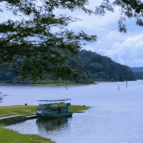 Thekkady_20250725T122254633Z