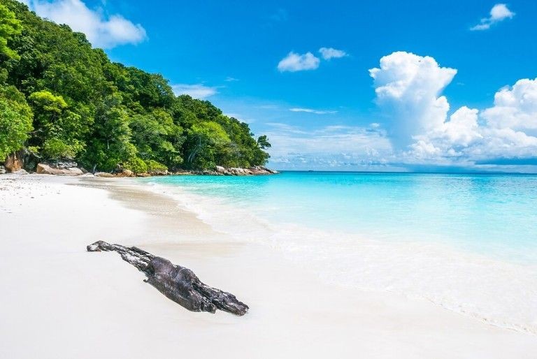 Turtle-Beach (1)